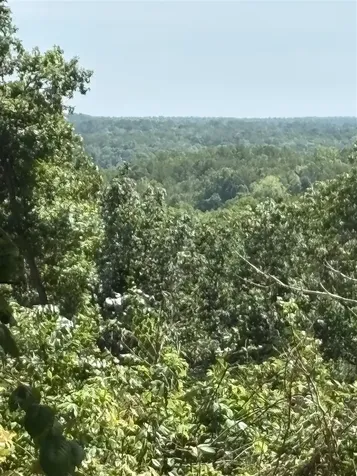 89 Ac Cub Run Road Cub Run KY 42729