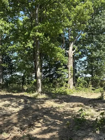 89 Ac Cub Run Road Cub Run KY 42729