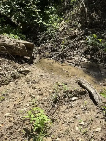 89 Ac Cub Run Road Cub Run KY 42729