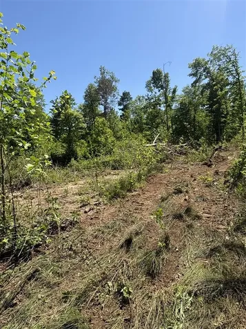 89 Ac Cub Run Road Cub Run KY 42729