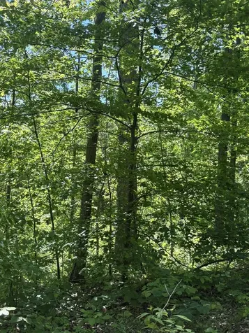 89 Ac Cub Run Road Cub Run KY 42729