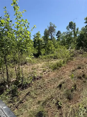 89 Ac Cub Run Road Cub Run KY 42729