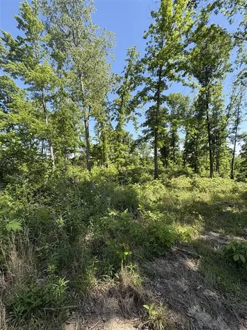 89 Ac Cub Run Road Cub Run KY 42729