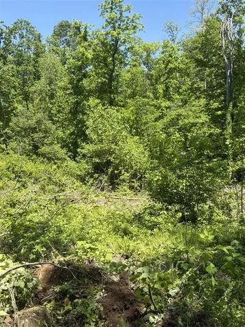 89 Ac Cub Run Road Cub Run KY 42729
