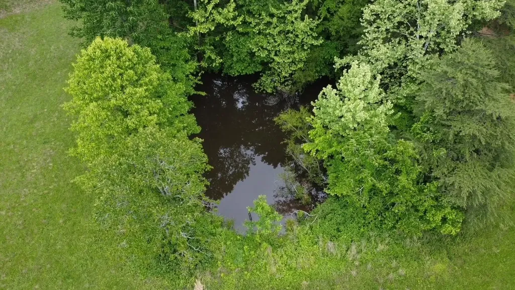 94 Acres Towery Cemetery Road Princeton KY 42445
