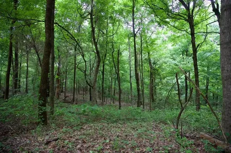 94 Acres Towery Cemetery Road Princeton KY 42445