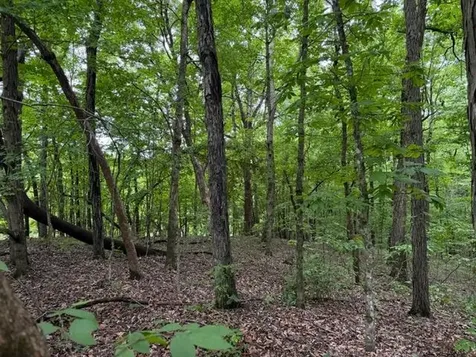 94 Acres Towery Cemetery Road Princeton KY 42445