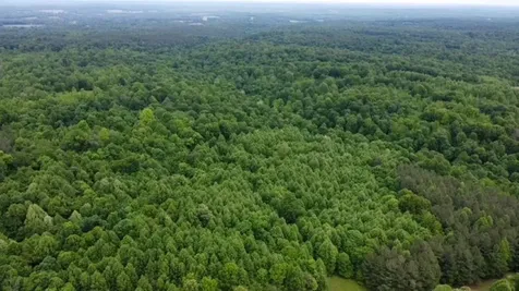 94 Acres Towery Cemetery Road Princeton KY 42445
