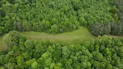 94 Acres Towery Cemetery Road Princeton KY 42445