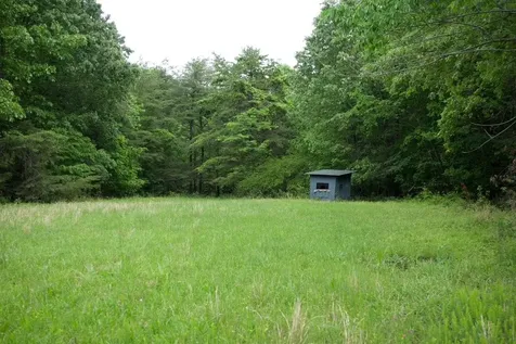 94 Acres Towery Cemetery Road Princeton KY 42445