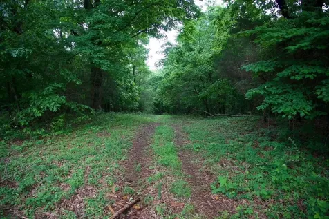 94 Acres Towery Cemetery Road Princeton KY 42445