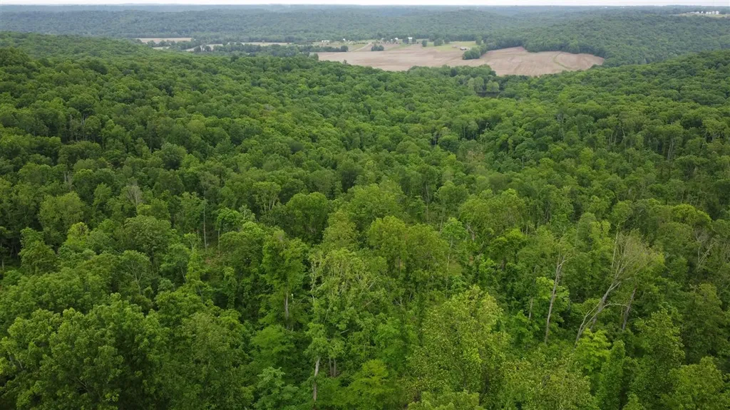48 Acres Marvin Powell Road Elkton KY 42220