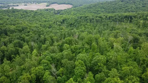 48 Acres Marvin Powell Road Elkton KY 42220