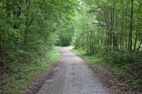 48 Acres Marvin Powell Road Elkton KY 42220