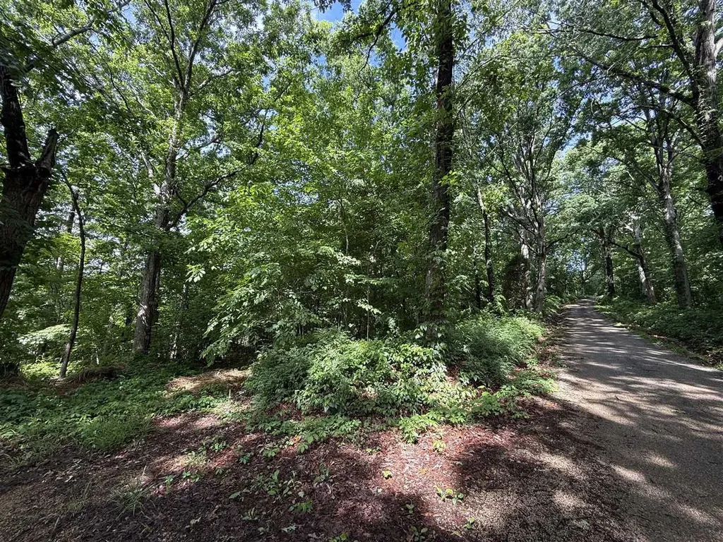 2.62 Ac S Pitcher Road Morgantown KY 42261