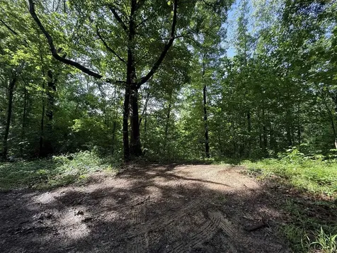 2.62 Ac S Pitcher Road Morgantown KY 42261