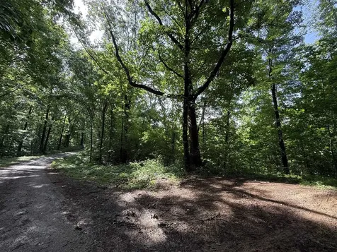 2.62 Ac S Pitcher Road Morgantown KY 42261