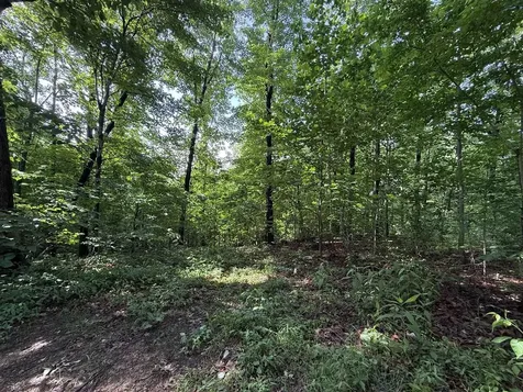 2.62 Ac S Pitcher Road Morgantown KY 42261