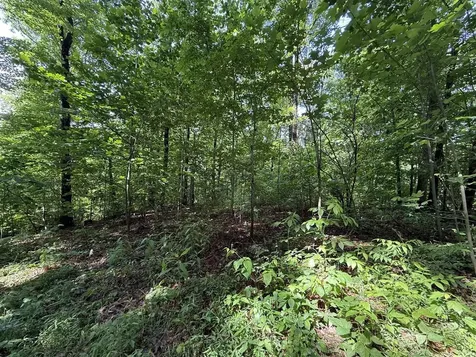 2.62 Ac S Pitcher Road Morgantown KY 42261