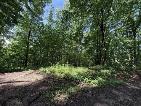 2.62 Ac S Pitcher Road Morgantown KY 42261