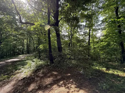 2.62 Ac S Pitcher Road Morgantown KY 42261