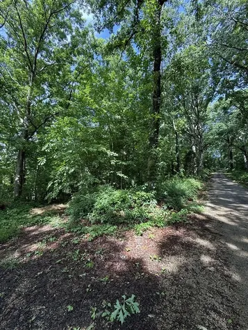 2.62 Ac S Pitcher Road Morgantown KY 42261