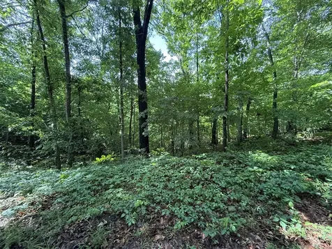 2.62 Ac S Pitcher Road Morgantown KY 42261