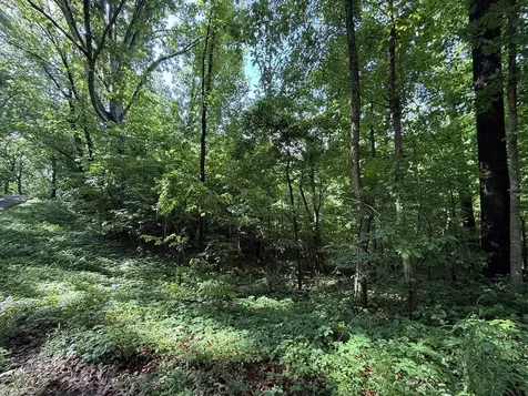 2.62 Ac S Pitcher Road Morgantown KY 42261
