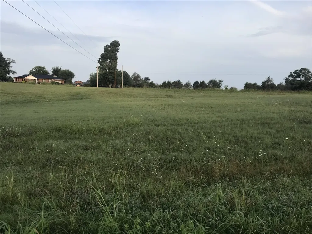 Lot 1-3 Smiths Grove Scottsville Road Oakland KY 42159