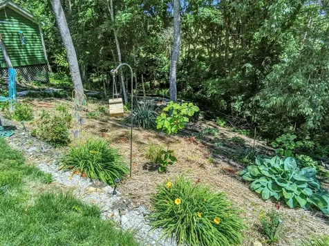 230 Indian Point Road Glasgow KY 42141