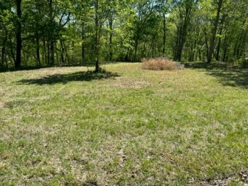 Lot 2 Halls Chapel Road Bowling Green KY 42101