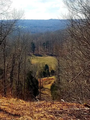 Lot 2 Halls Chapel Road Bowling Green KY 42101