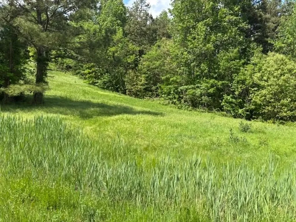 0 Henry Oates Road Graham KY 42344