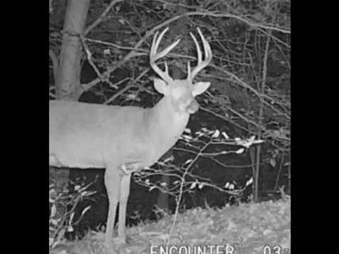 0 Henry Oates Road Graham KY 42344