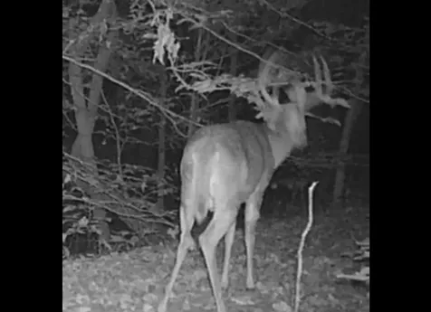 0 Henry Oates Road Graham KY 42344