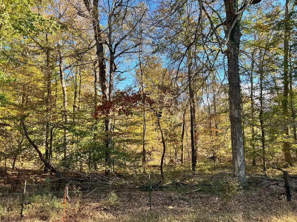 Lot 16 Gainesville Port Oliver Road Scottsville KY 42164
