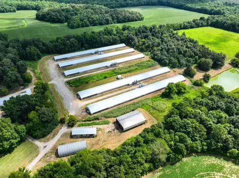 1432 State Route 797 Calhoun KY 42327