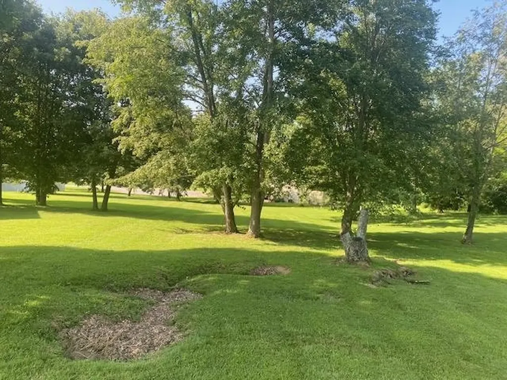 Lot 2 Paradise Road Greenville KY 42345