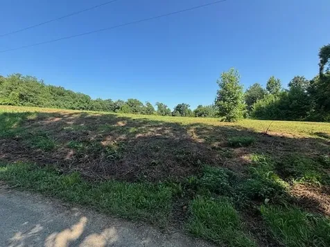 873 Ridge Road Bremen KY 42325
