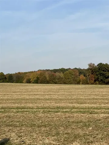 5320 Morgantown Road Franklin KY 42134