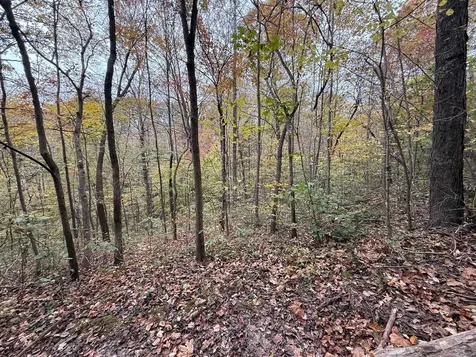 12269 Cub Run Highway Cub Run KY 42729