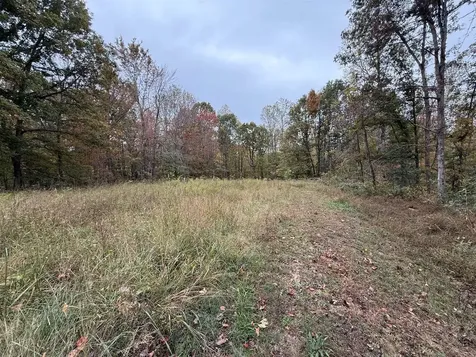 12269 Cub Run Highway Cub Run KY 42729