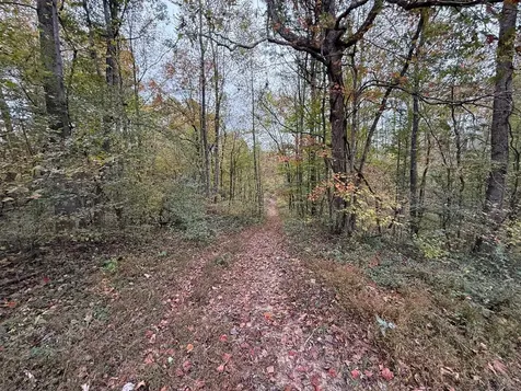 12269 Cub Run Highway Cub Run KY 42729