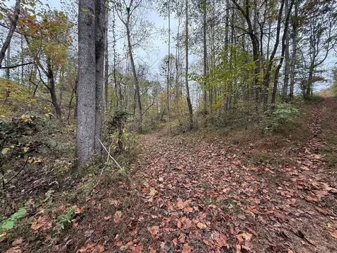 12269 Cub Run Highway Cub Run KY 42729