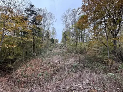 12269 Cub Run Highway Cub Run KY 42729