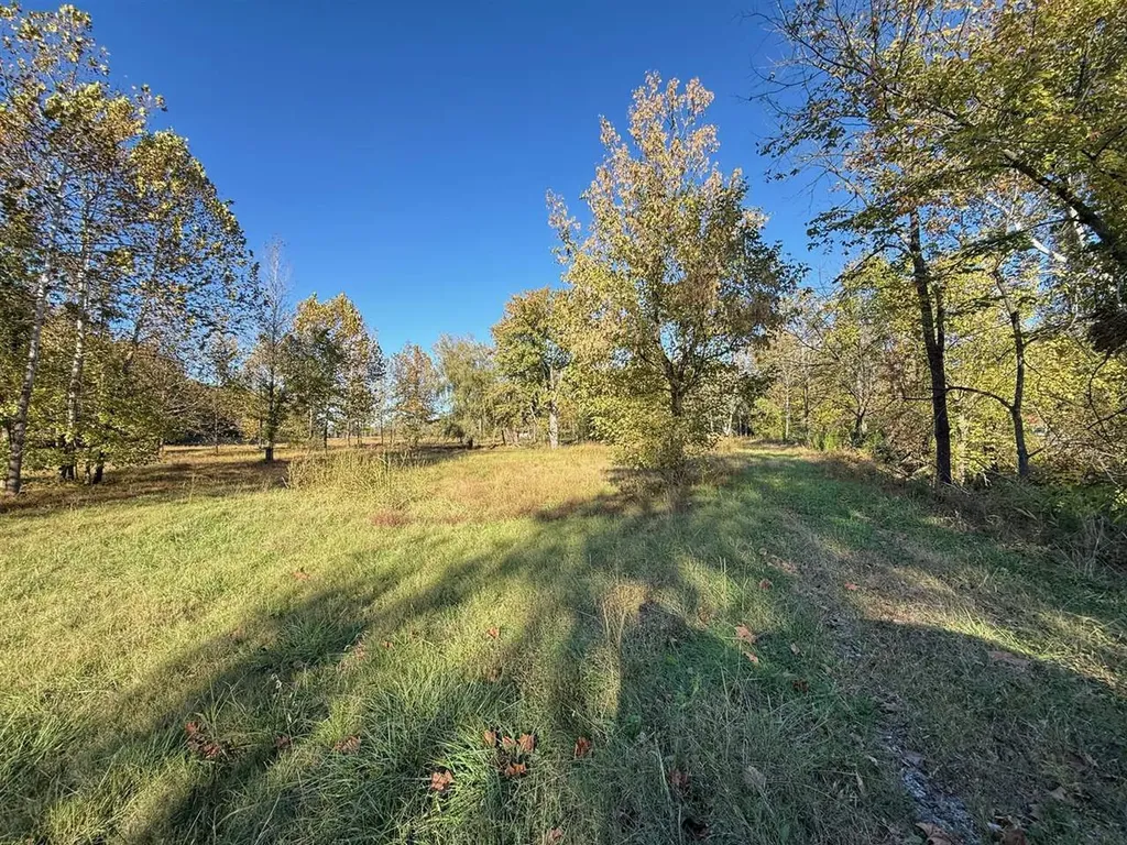 0 Highway 176 Greenville KY 42345