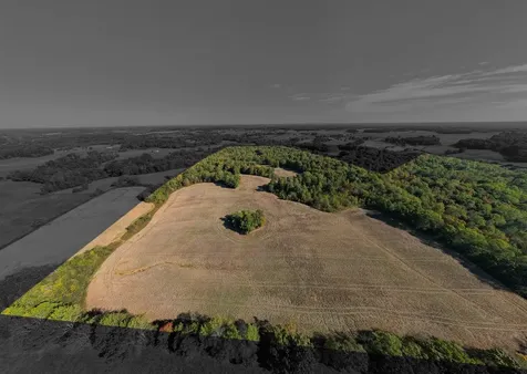Farm Near 3000 Holland Road Scottsville KY 42164