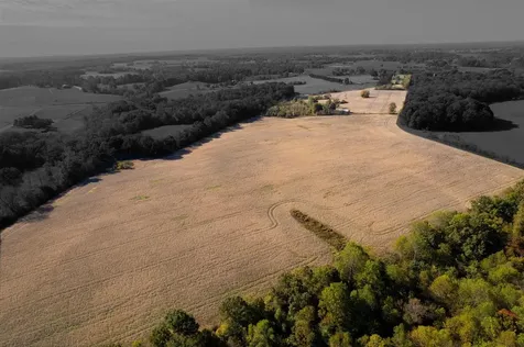 Farm Near 3000 Holland Road Scottsville KY 42164