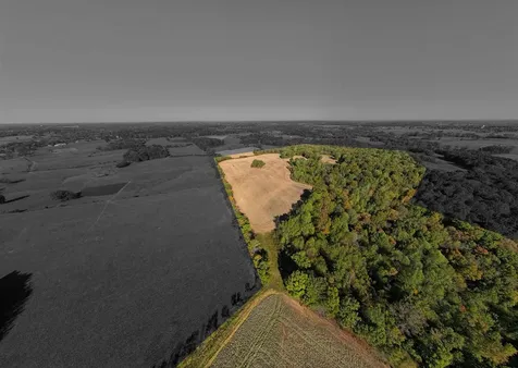 Farm Near 3000 Holland Road Scottsville KY 42164