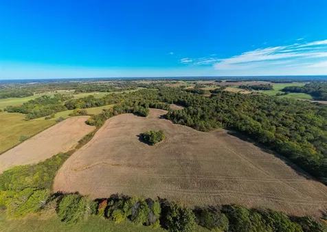 Farm Near 3000 Holland Road Scottsville KY 42164